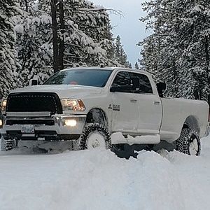 Meet your Posher, Broc